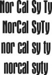 norcalsyty4.jpg