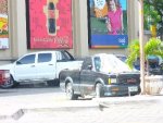 P1020113c.JPG